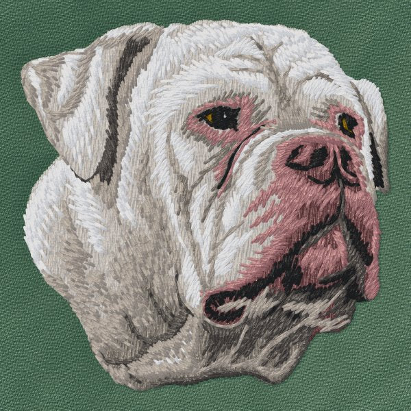 American Bulldog 4