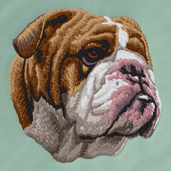 English Bulldog 4