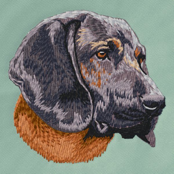 Bayerischer Gebirgsschweißhund