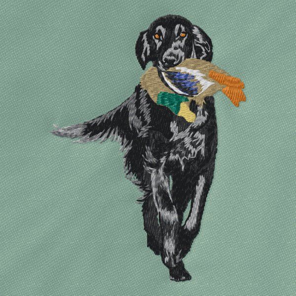 Flat coated retrívr 4