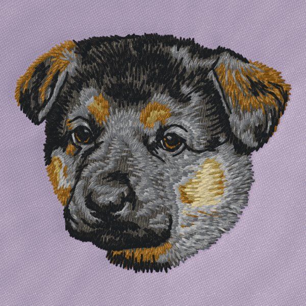 Německý ovčák 34