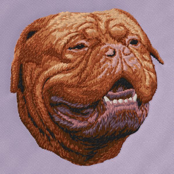 Dogue de Bordeaux 3
