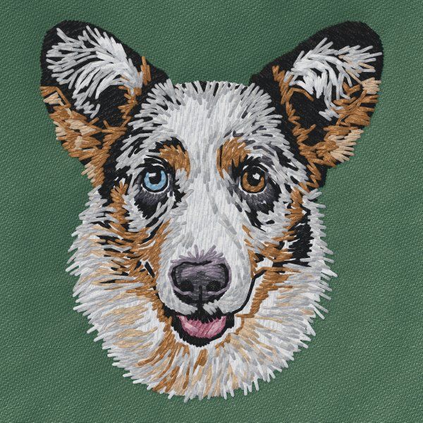 Cardigan Welsh Corgi 3