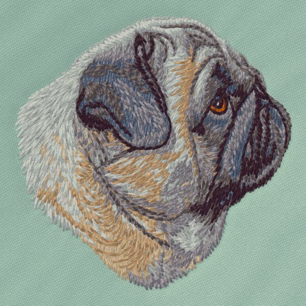 Pug 11