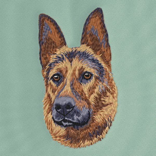 Německý ovčák 33