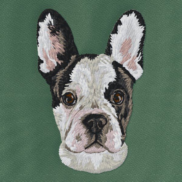 French Bulldog 11