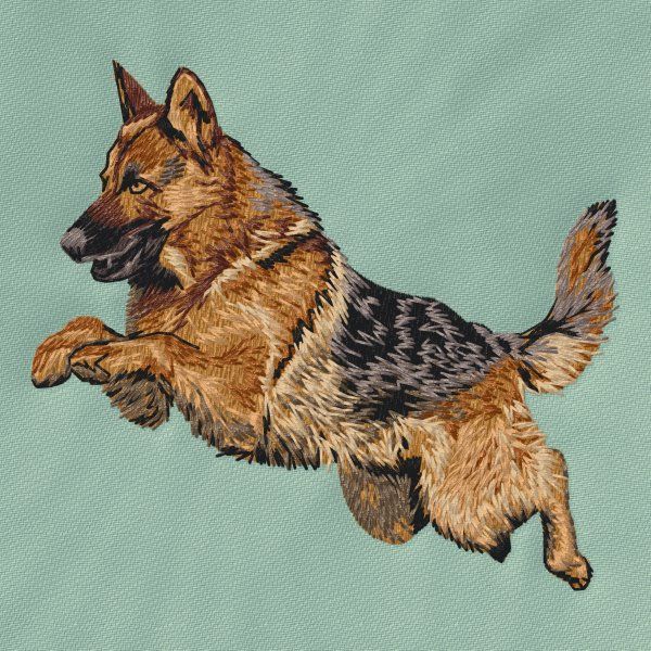 Německý ovčák 29