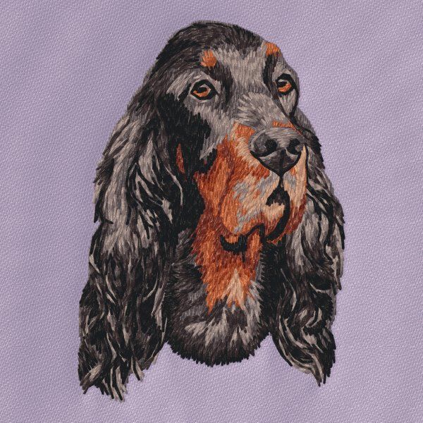 Gordon Setter 4