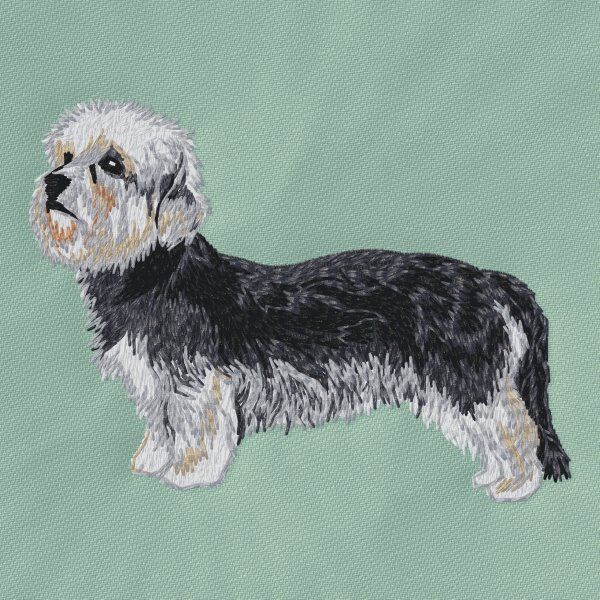 Dandie Dinmont Terrier 2