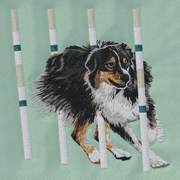 Australian Shepherd - Agility 3