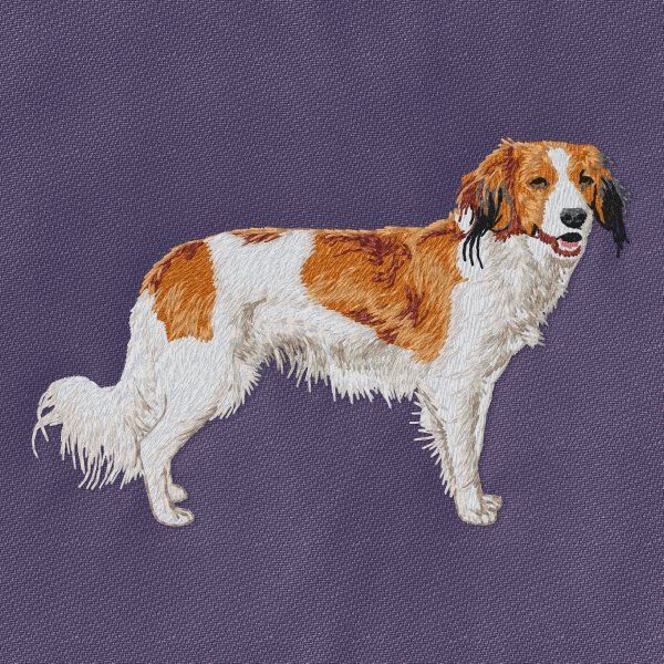 Kooikerhondje 3