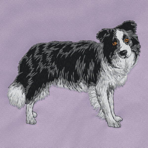 Border Collie 16