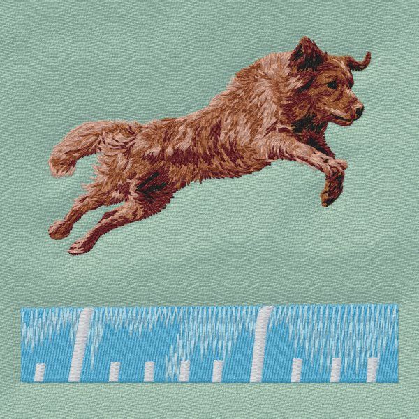 Retriever - Agility