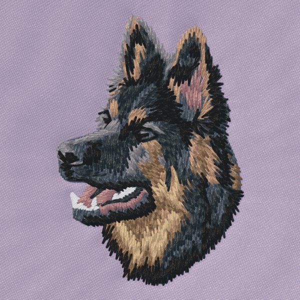 Německý ovčák 26