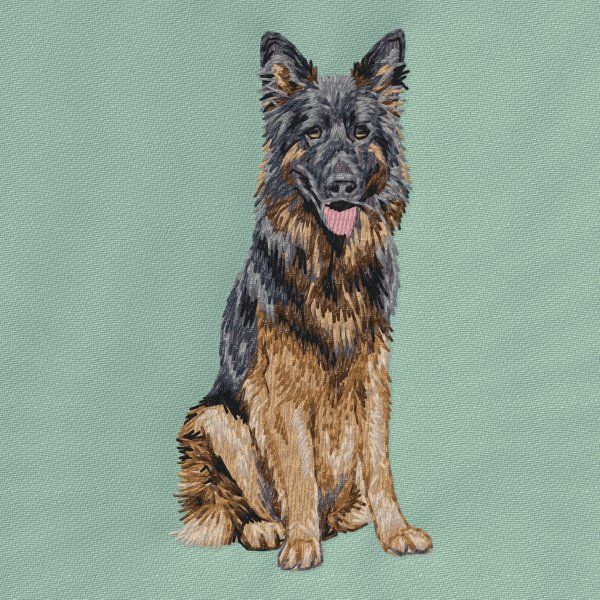 Německý ovčák 24