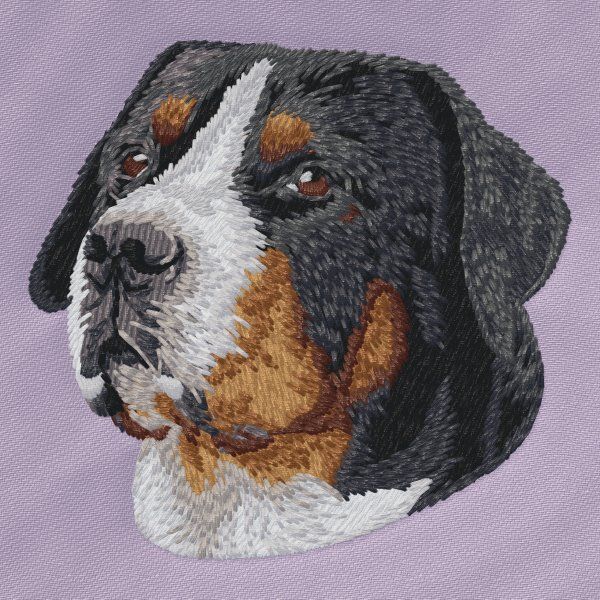 Velký švýcarský salašnický pes 3