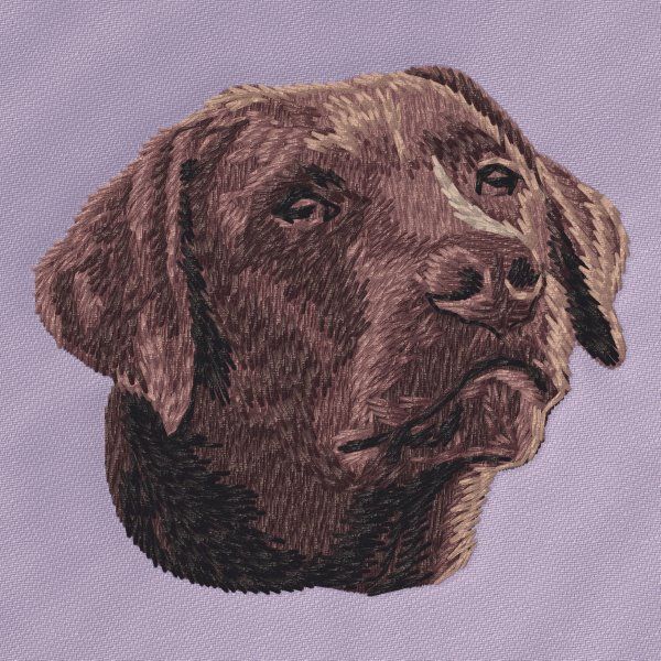 Labradorský retrívr 33