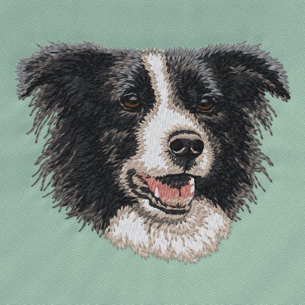 Border Collie 12