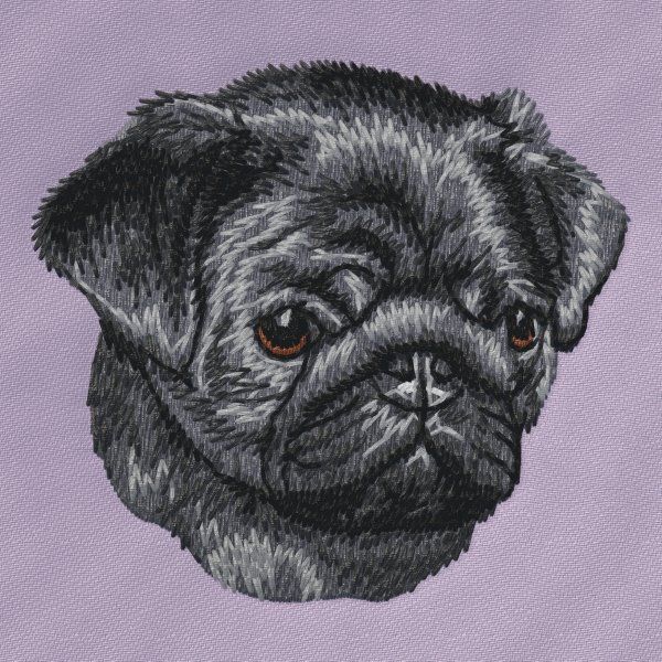 Pug 8