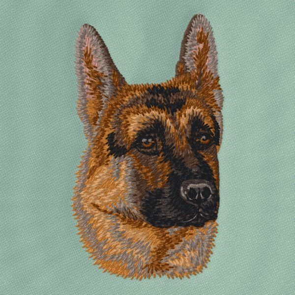 Německý ovčák 23