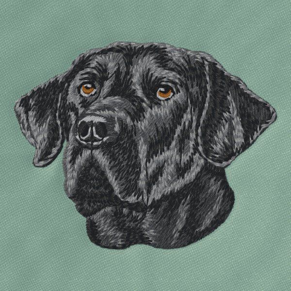 Labradorský retrívr 30