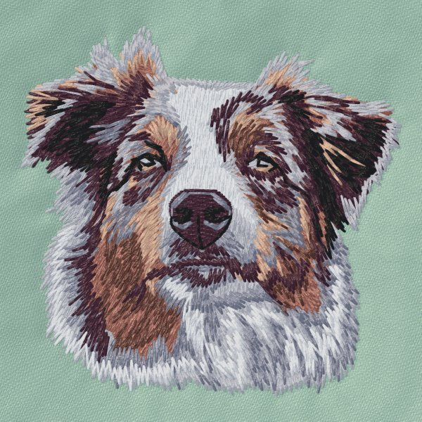Australian Shepherd 10