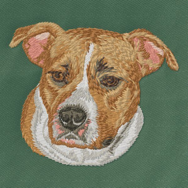 Staffordshire Bull Terrier 5
