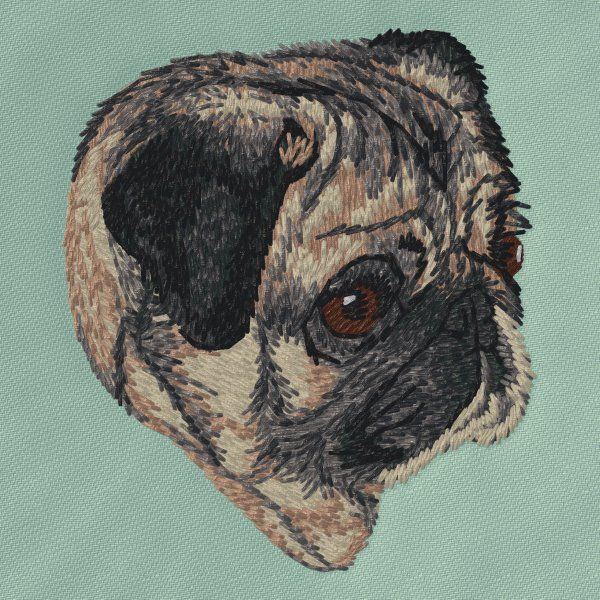 Pug 6