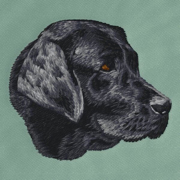 Labradorský retrívr 24