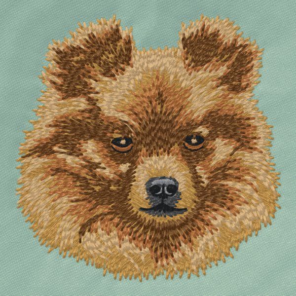Pomeranian 7
