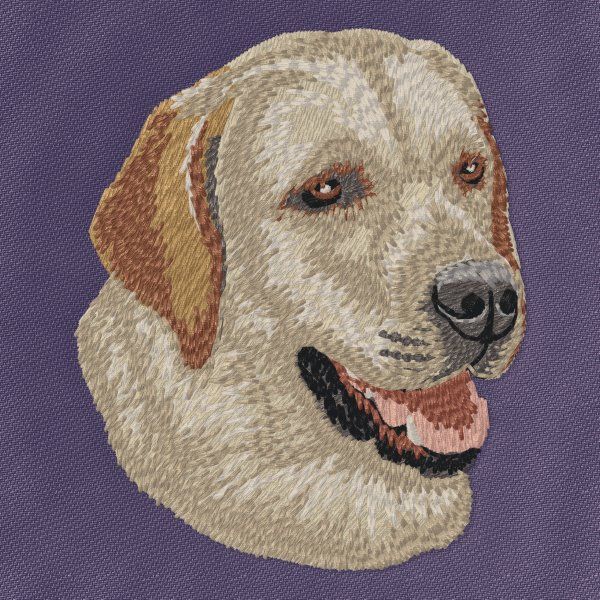 Labradorský retrívr 22