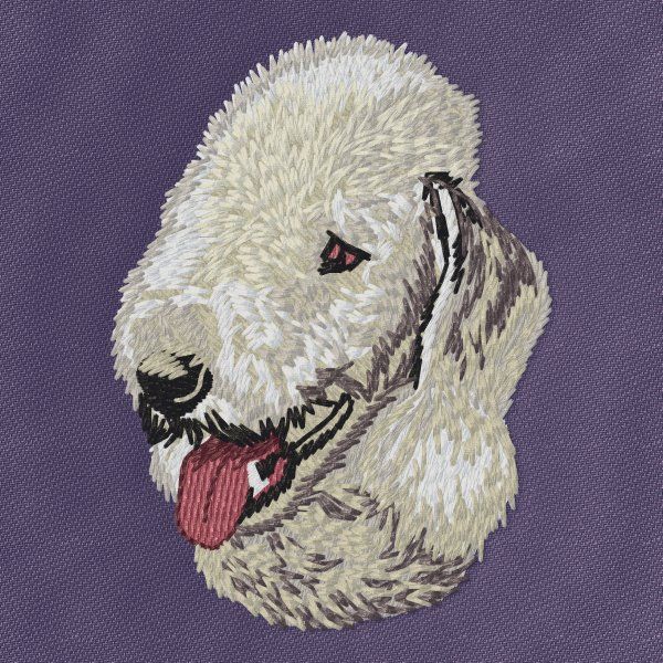Bedlington Terrier 3