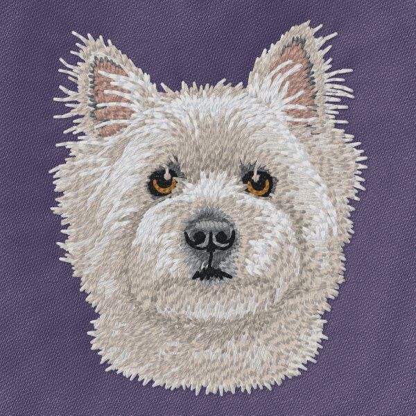 West Highland White Terrier 9