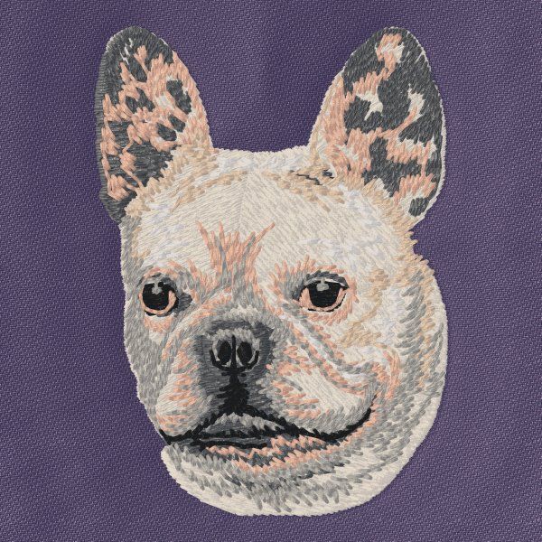 French Bulldog 8