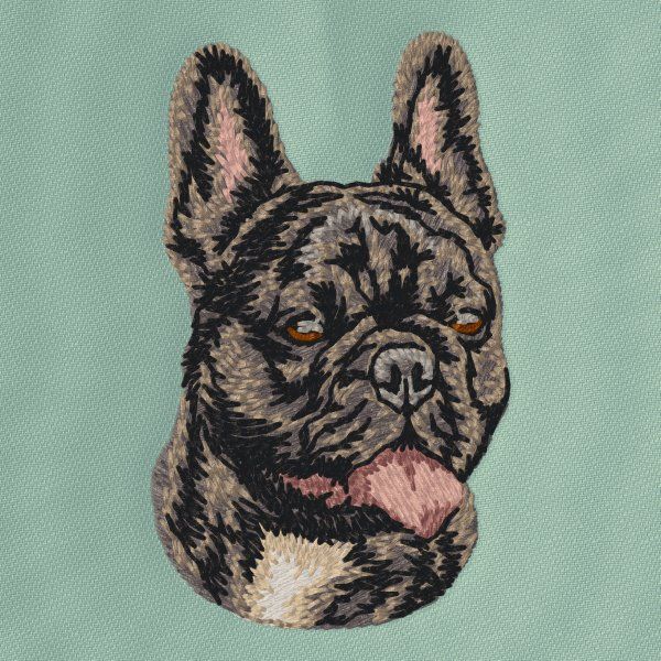 French Bulldog 7