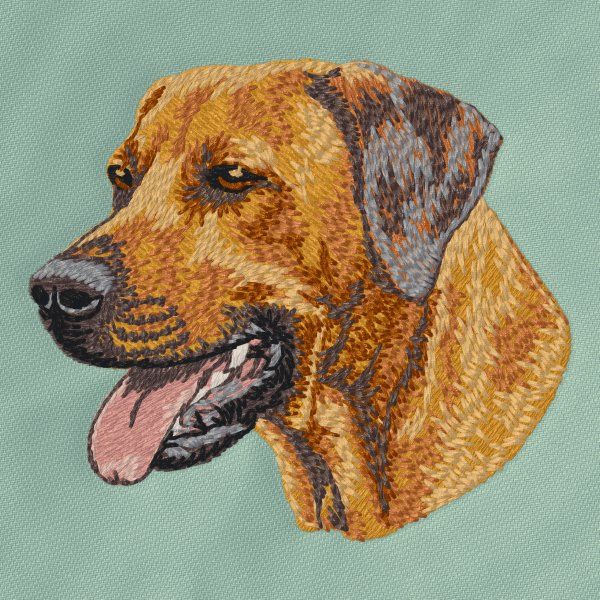 Rhodéský ridgeback 5