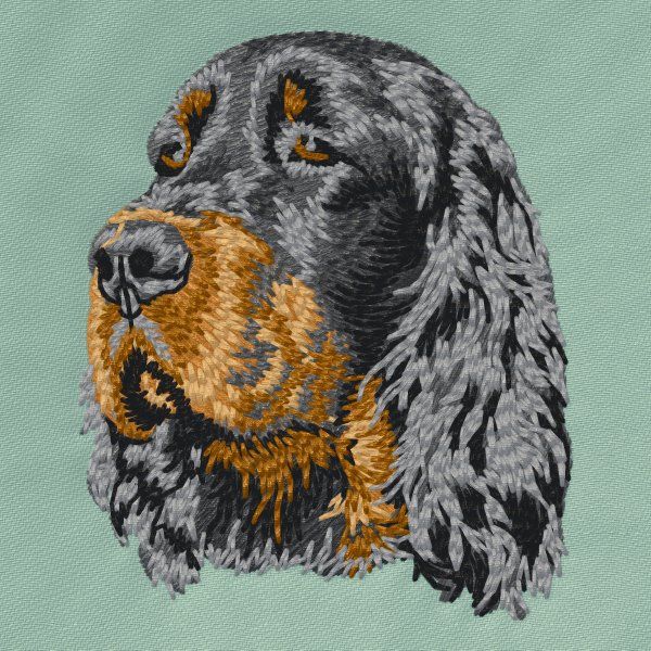 Gordon Setter 2