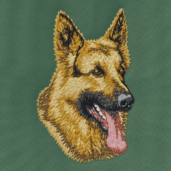 Německý ovčák 17