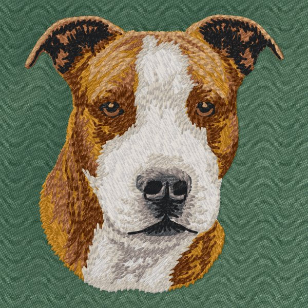 American Staffordshire Terrier 4