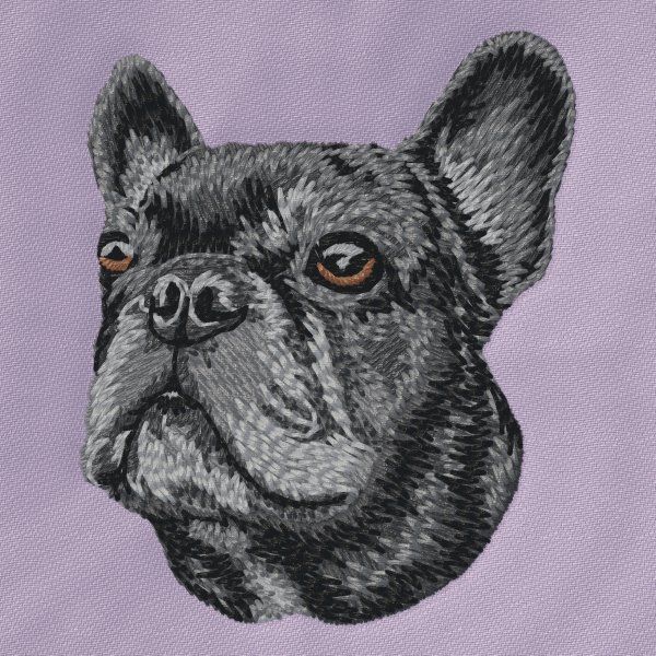 French Bulldog 6