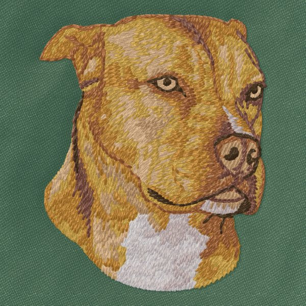 Americký pitbulteriér 1