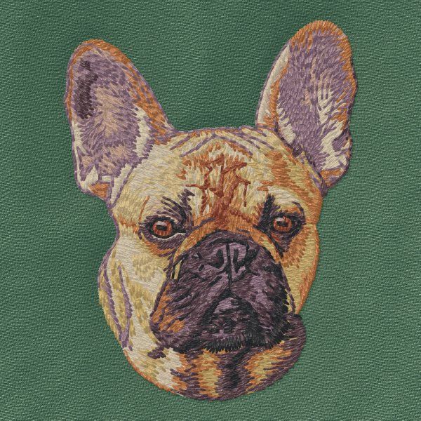 French Bulldog 5