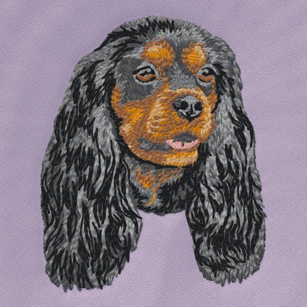 Cavalier King Charles Spaniel 9