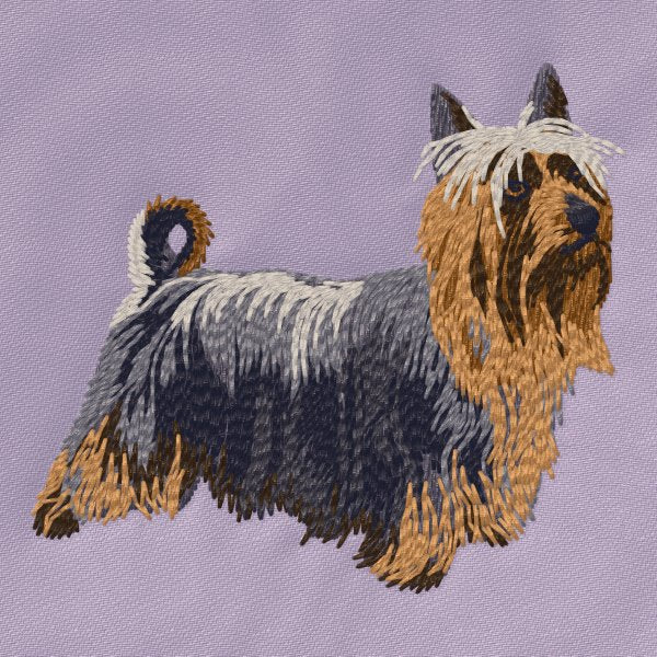 Australian Silky Terrier 3