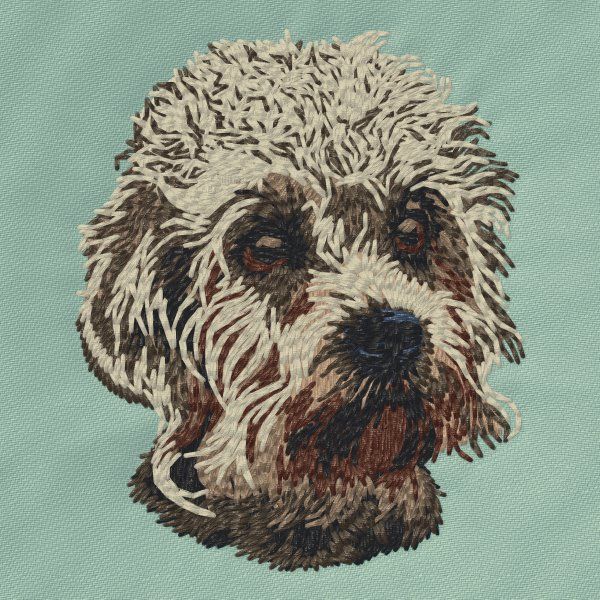 Dandie Dinmont Terrier 1