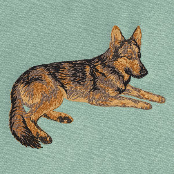 Německý ovčák 16