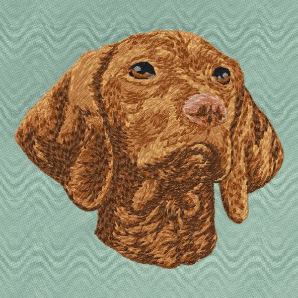 Vizsla 4