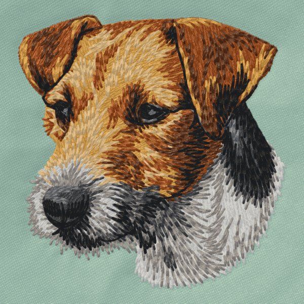 Jack Russell Terrier 4