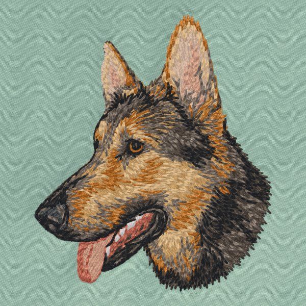 Německý ovčák 15