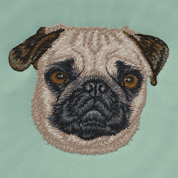 Pug 5